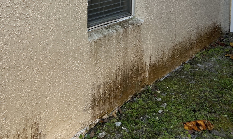House washing after