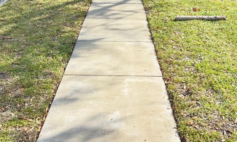 Driveway before